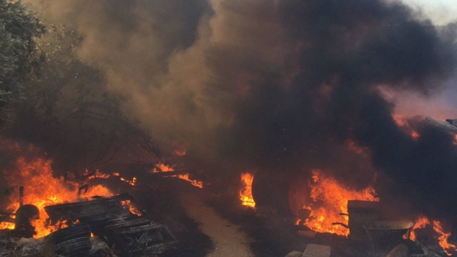 Mersin'deki orman yangınlarına müdahale ediliyor